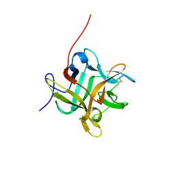 BU of 2wbc by Molmil