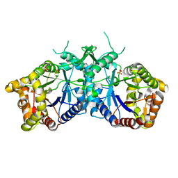 AU of 2wgk by Molmil