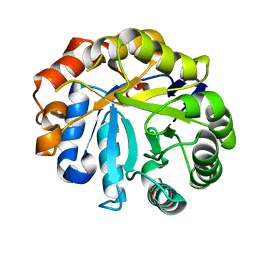 BU of 2whl by Molmil