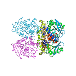 AU of 2wir by Molmil