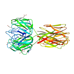 BU of 2wn2 by Molmil