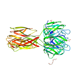 BU of 2wn3 by Molmil
