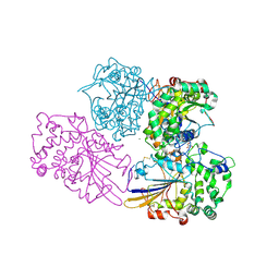 BU of 2wnh by Molmil