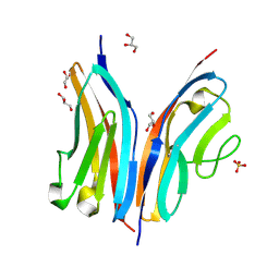 BU of 2wp3 by Molmil