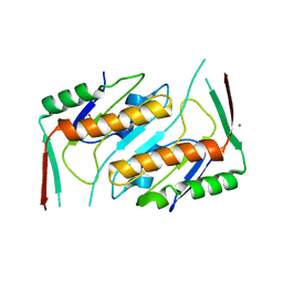 BU of 2wp4 by Molmil