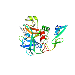 BU of 2wpm by Molmil