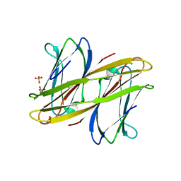 BU of 2wr9 by Molmil