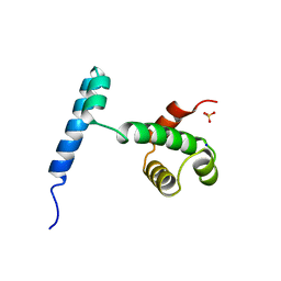 AU of 2wrp by Molmil