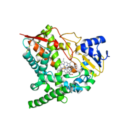 BU of 2wv2 by Molmil