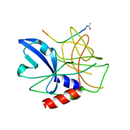 BU of 2wv4 by Molmil