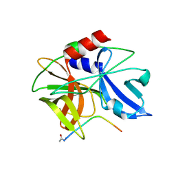 BU of 2wv5 by Molmil