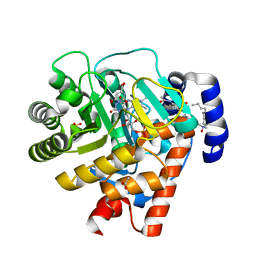 BU of 2wv8 by Molmil