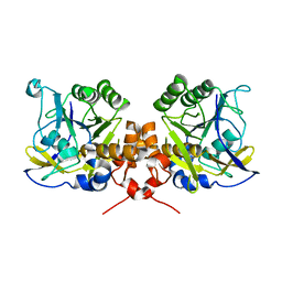 BU of 2wwt by Molmil