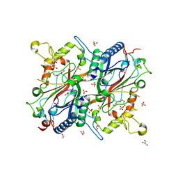 AU of 2wx6 by Molmil
