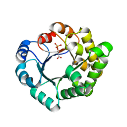 AU of 2x0m by Molmil