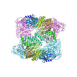 AU of 2x0z by Molmil