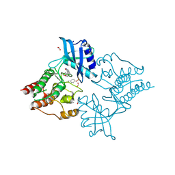 BU of 2x2l by Molmil