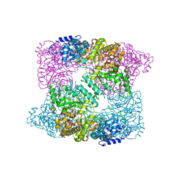 AU of 2x3i by Molmil