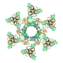 AU of 2x5a by Molmil