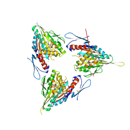 BU of 2xae by Molmil