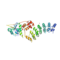 AU of 2xai by Molmil