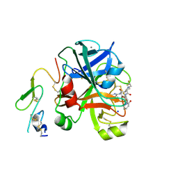 BU of 2xbv by Molmil