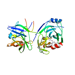 BU of 2xcf by Molmil