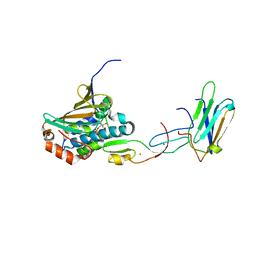 BU of 2xcm by Molmil