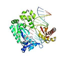 BU of 2xcp by Molmil