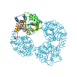 BU of 2xcw by Molmil