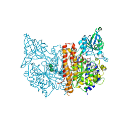 BU of 2xef by Molmil