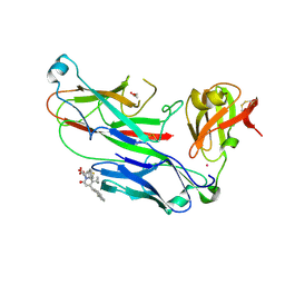 BU of 2xg5 by Molmil