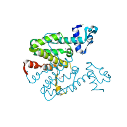 BU of 2xge by Molmil