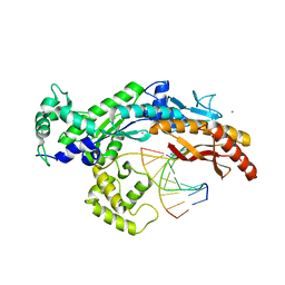 BU of 2xgq by Molmil