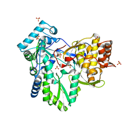 BU of 2xhv by Molmil