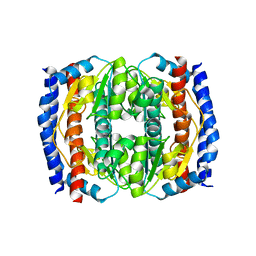 BU of 2xhz by Molmil