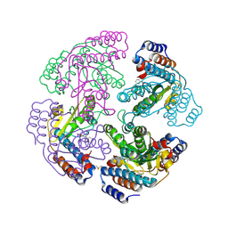 BU of 2xi7 by Molmil