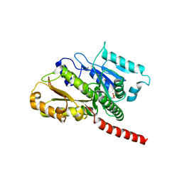 BU of 2xkb by Molmil