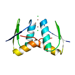 BU of 2xmj by Molmil