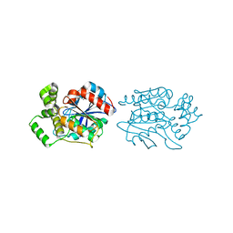 BU of 2xms by Molmil