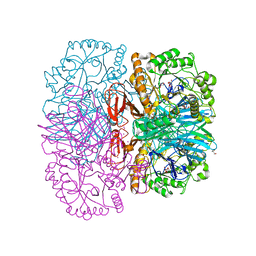 BU of 2xn0 by Molmil