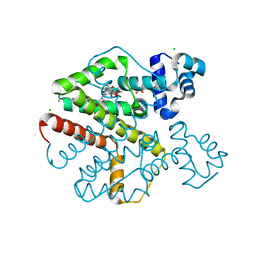 AU of 2xps by Molmil