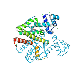 BU of 2xpv by Molmil