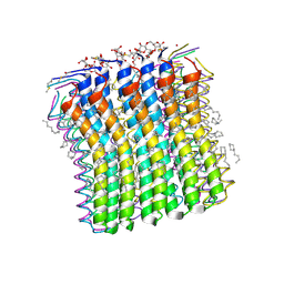 BU of 2xqu by Molmil