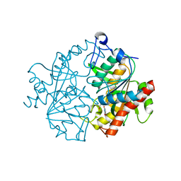 BU of 2xrf by Molmil