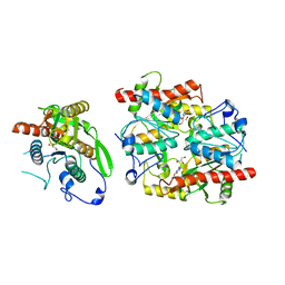 AU of 2xrf by Molmil