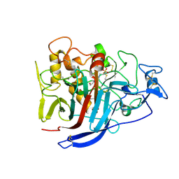 BU of 2xsp by Molmil