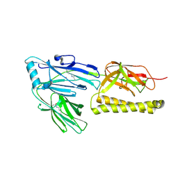 BU of 2xtl by Molmil