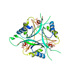 AU of 2xun by Molmil