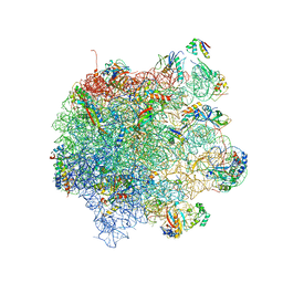 AU of 2xux by Molmil